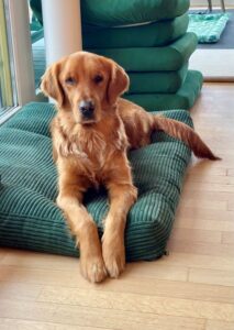 Vollmar Cairo dez25 Webgroesse